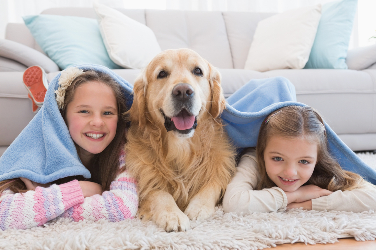 Sisters lying on rug with golden retriever under a blanket